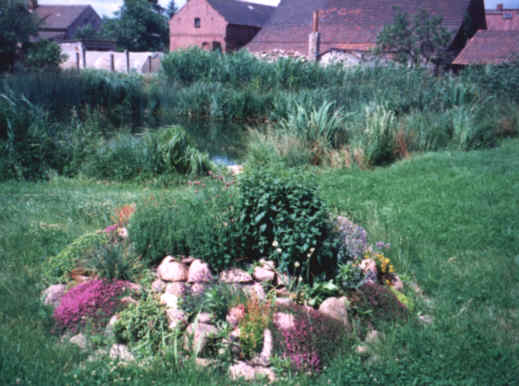 Schilfbeet, Sch&ouml;nungsteich und Gartenlandschaft ein Jahr nach Fertigstellung